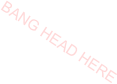 BANG HEAD HERE